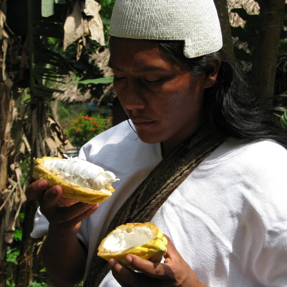 Arawak indigenous man holding cacao