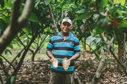 Colombian farmer holding two cocoa pods in a cocoa farm