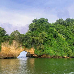 Lush green forest in Tumaco, Colombia with a natural arch over water